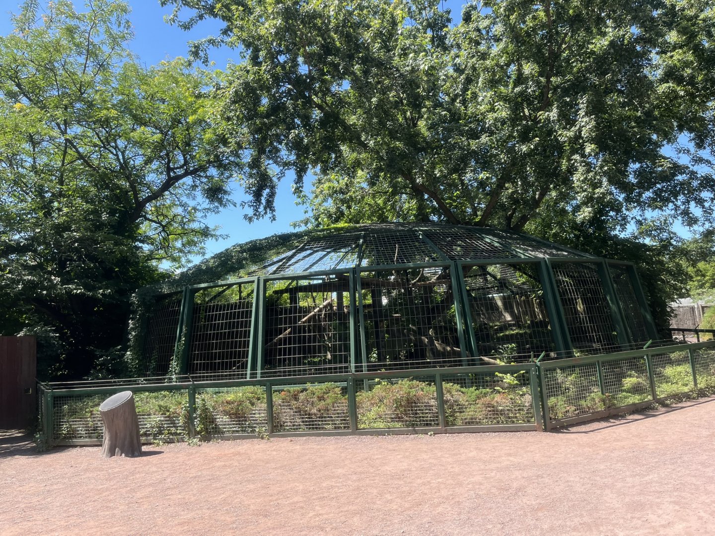 Empty exhibit, previously home to the jaguar pair(sister)