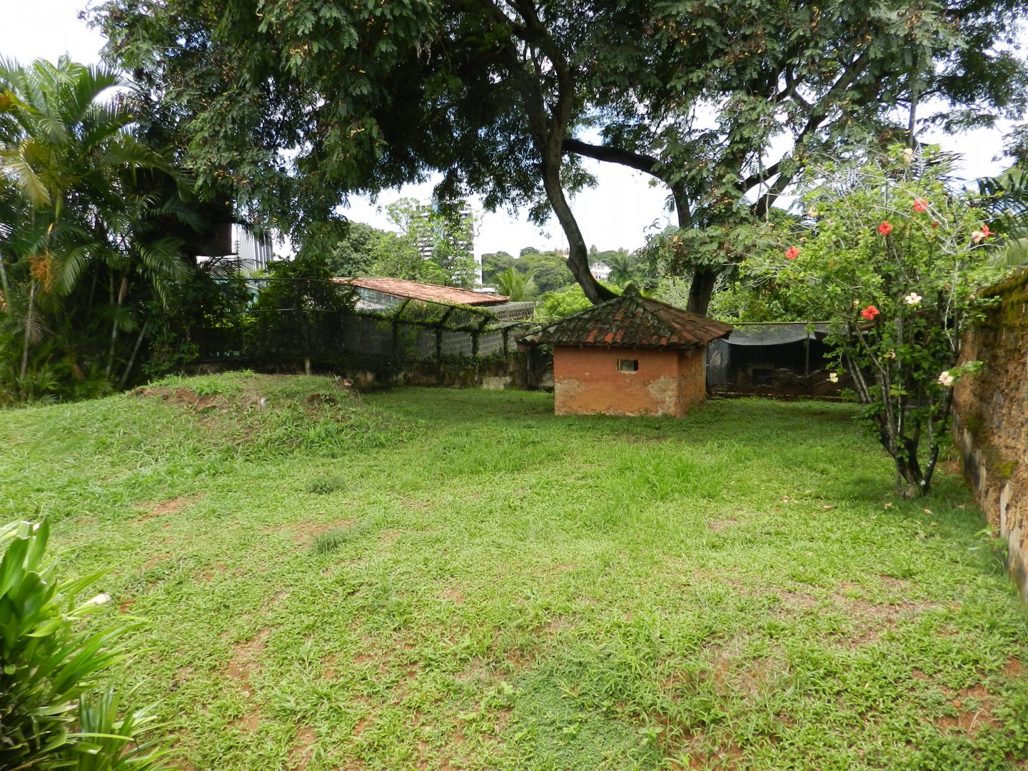 Empty exhibit - Salvador zoo (PZGV)