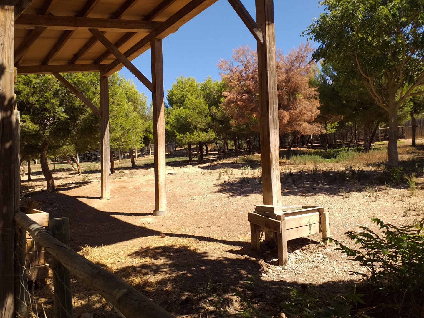 Empty exhibit -Sendaviva (2020)