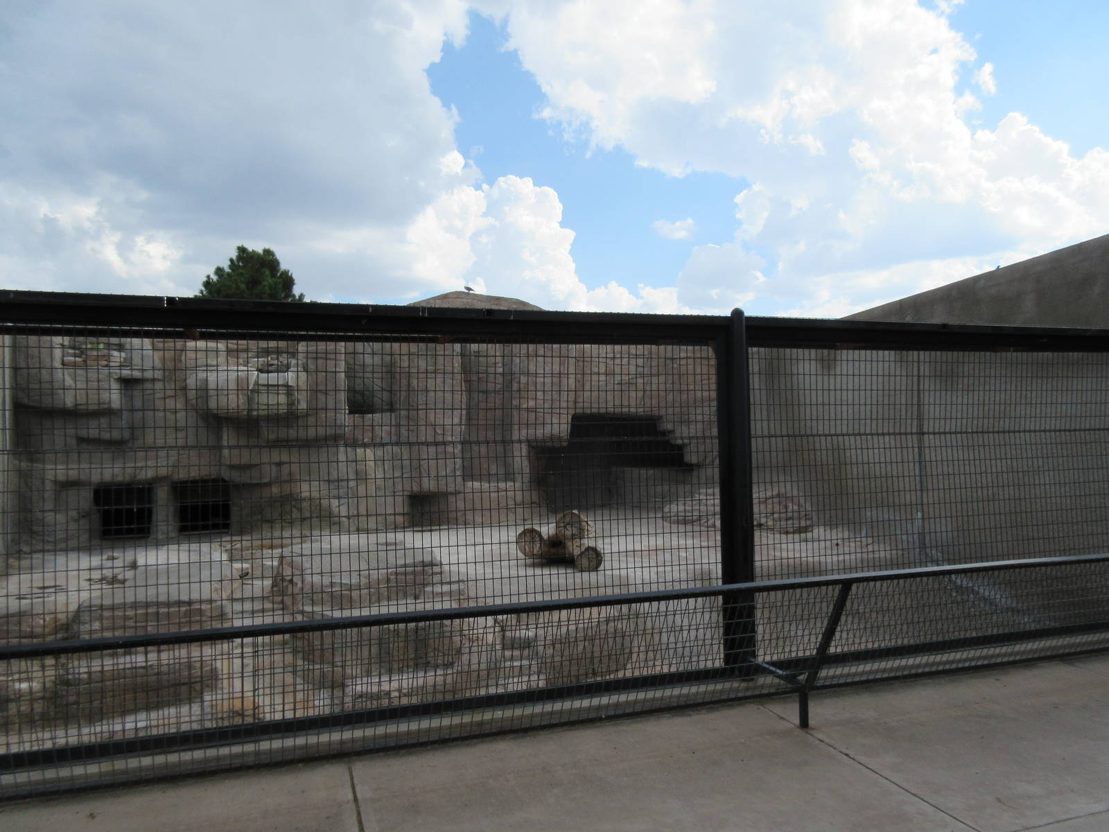 Empty Exhibit - thank goodness!