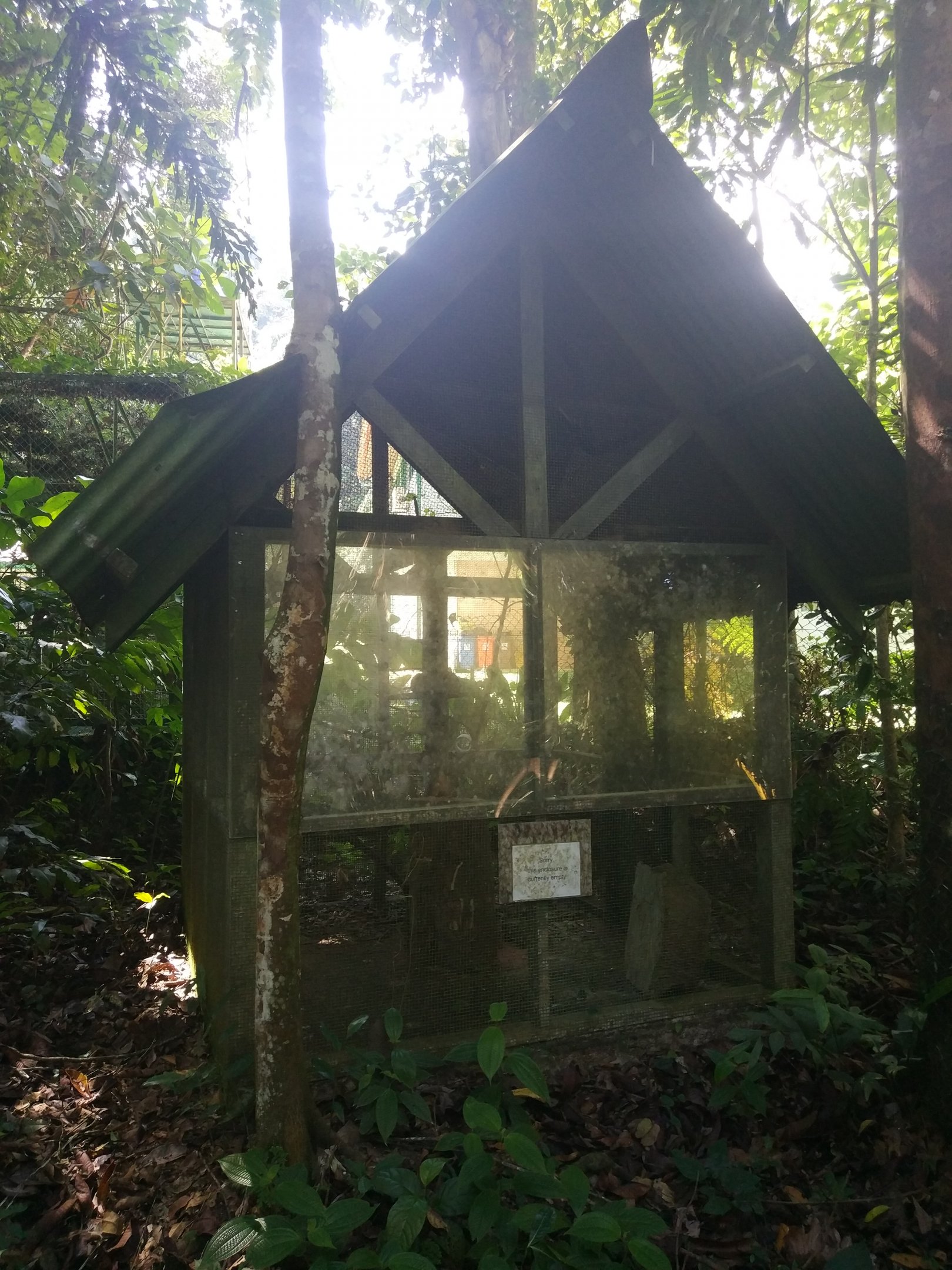 Empty Exhibit  - Tropical Garden