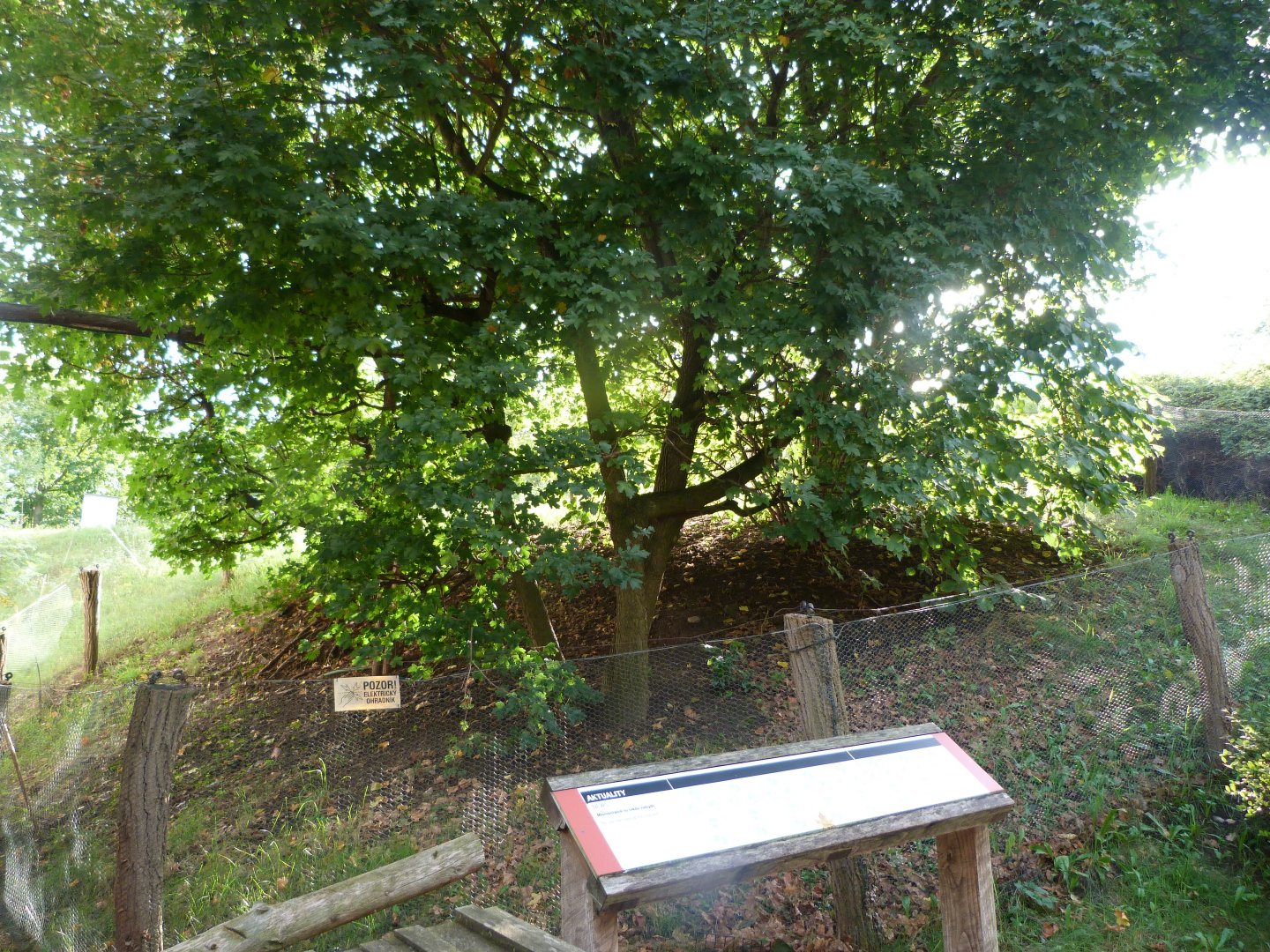 Empty exhibit -Zoo Praha (2025)