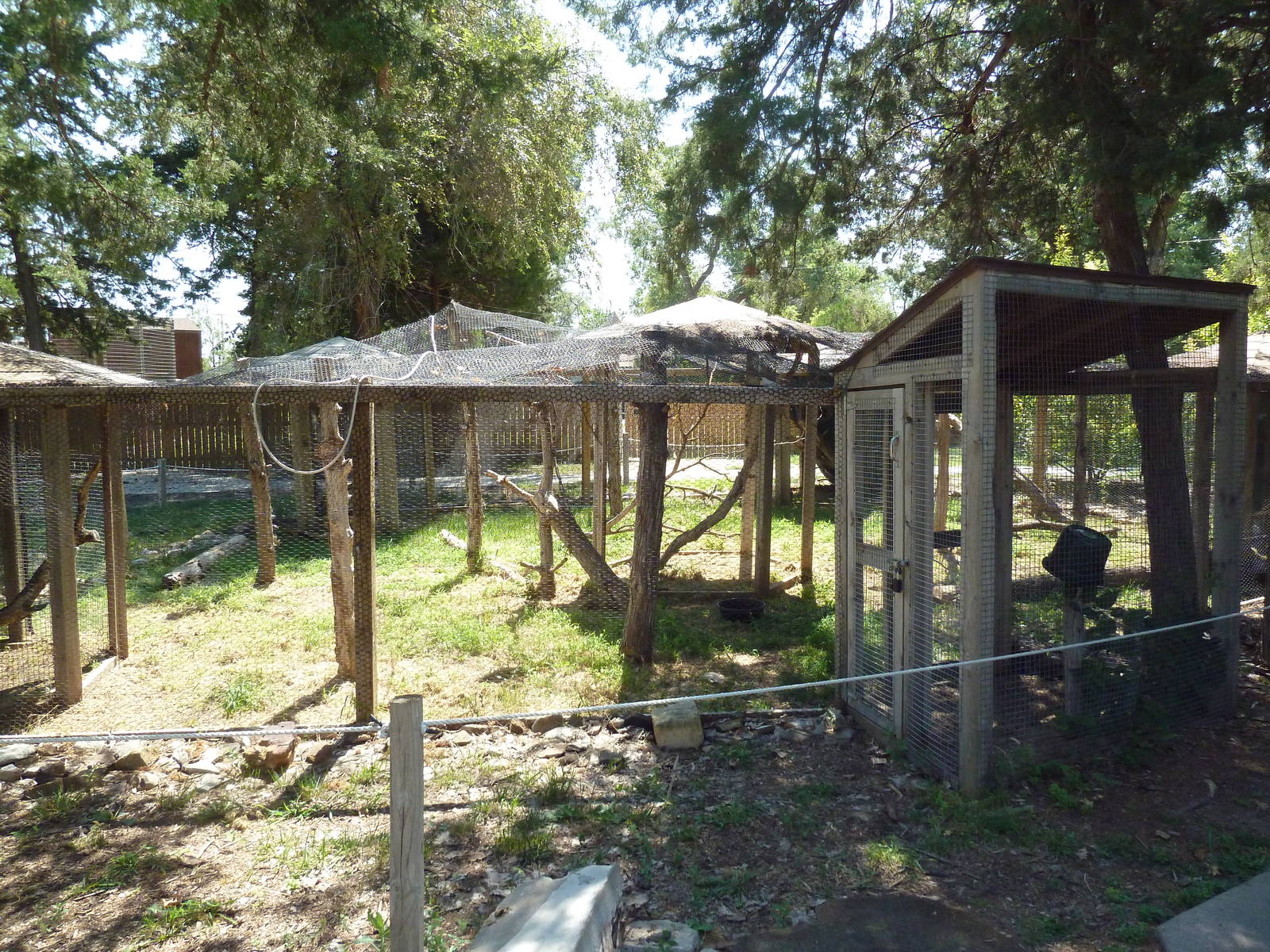 Empty Exhibits (except for a Great Horned Owl)
