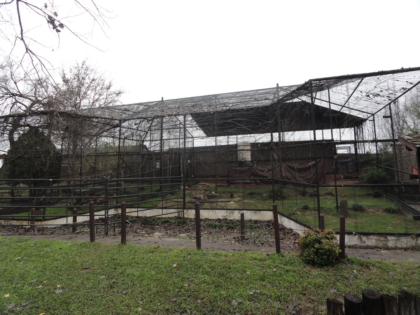 Empty Exhibits - Former Coyote