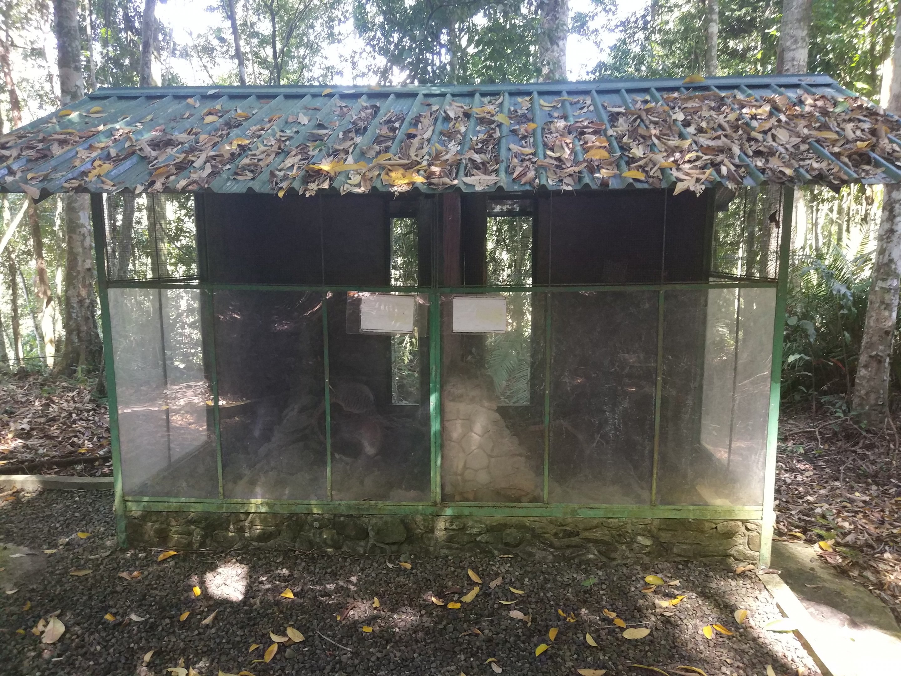 Empty exhibits  - Tropical Garden