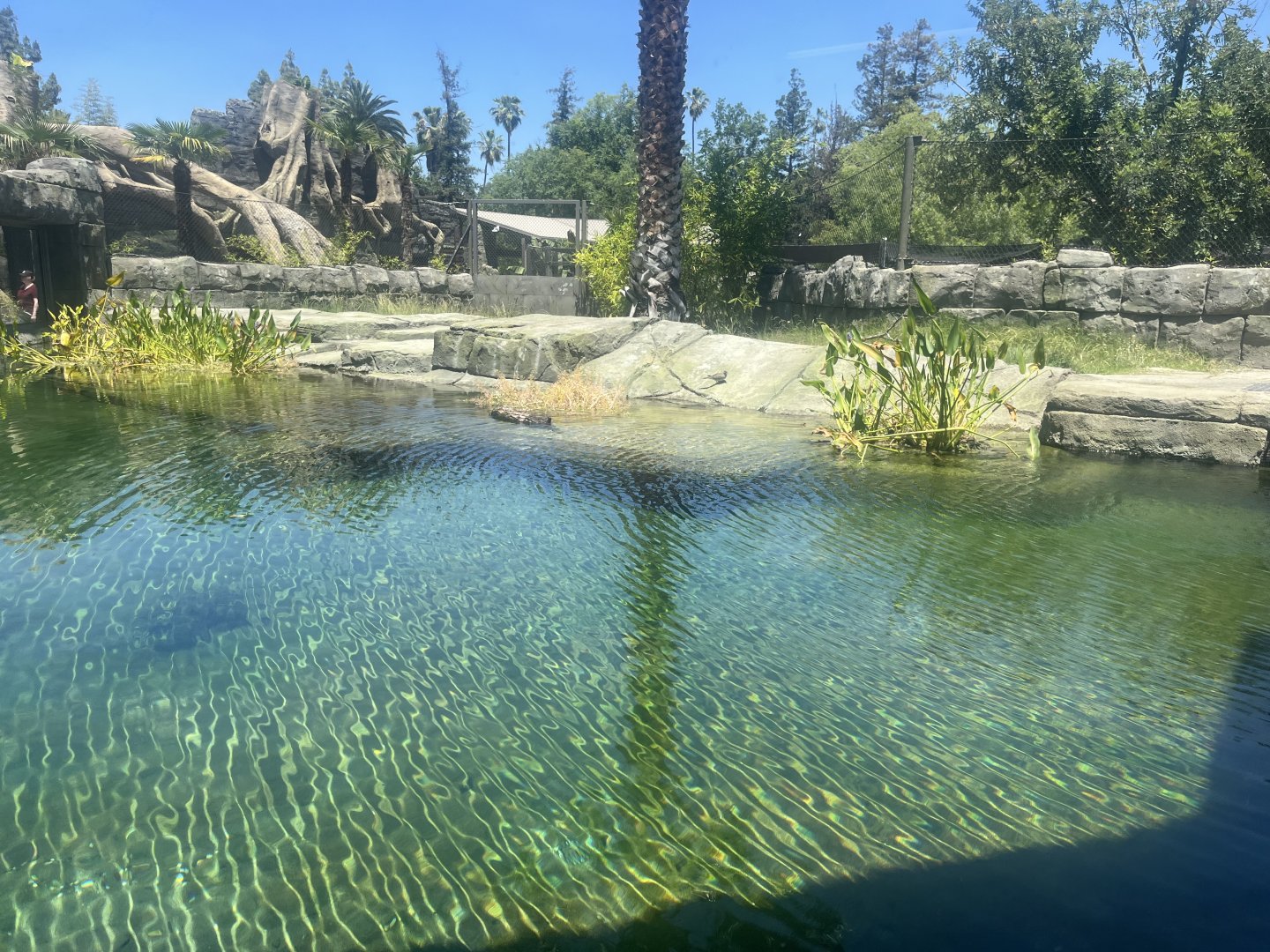 Empty False Gharial exhibit