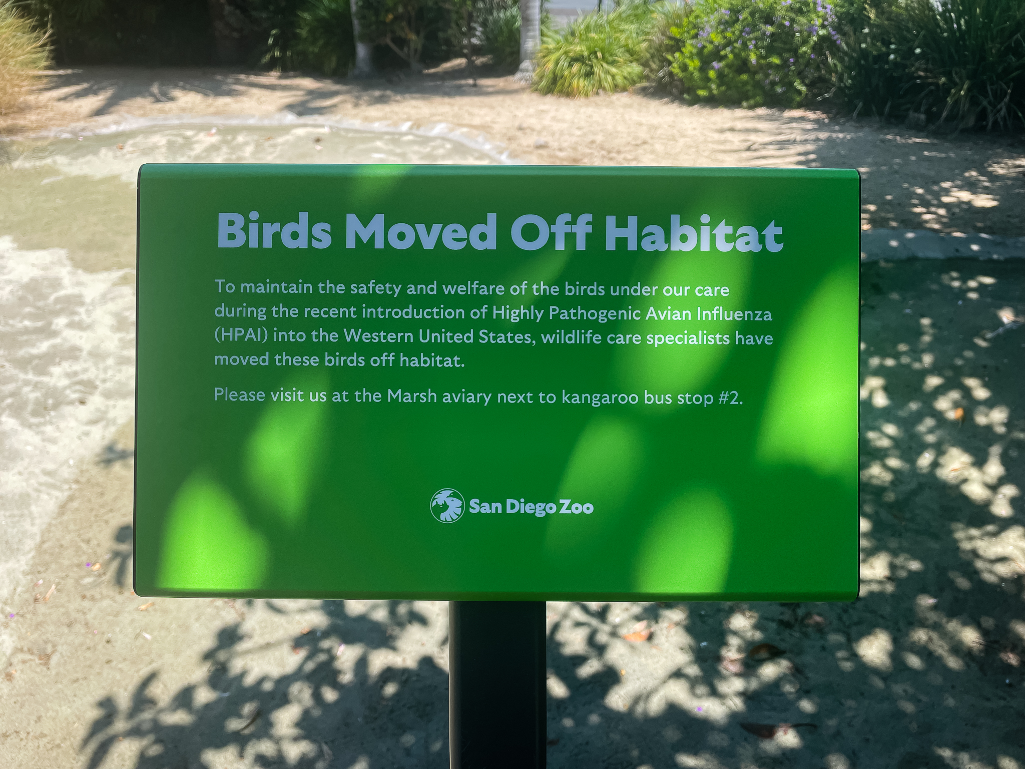 Empty Flamingo Lagoon