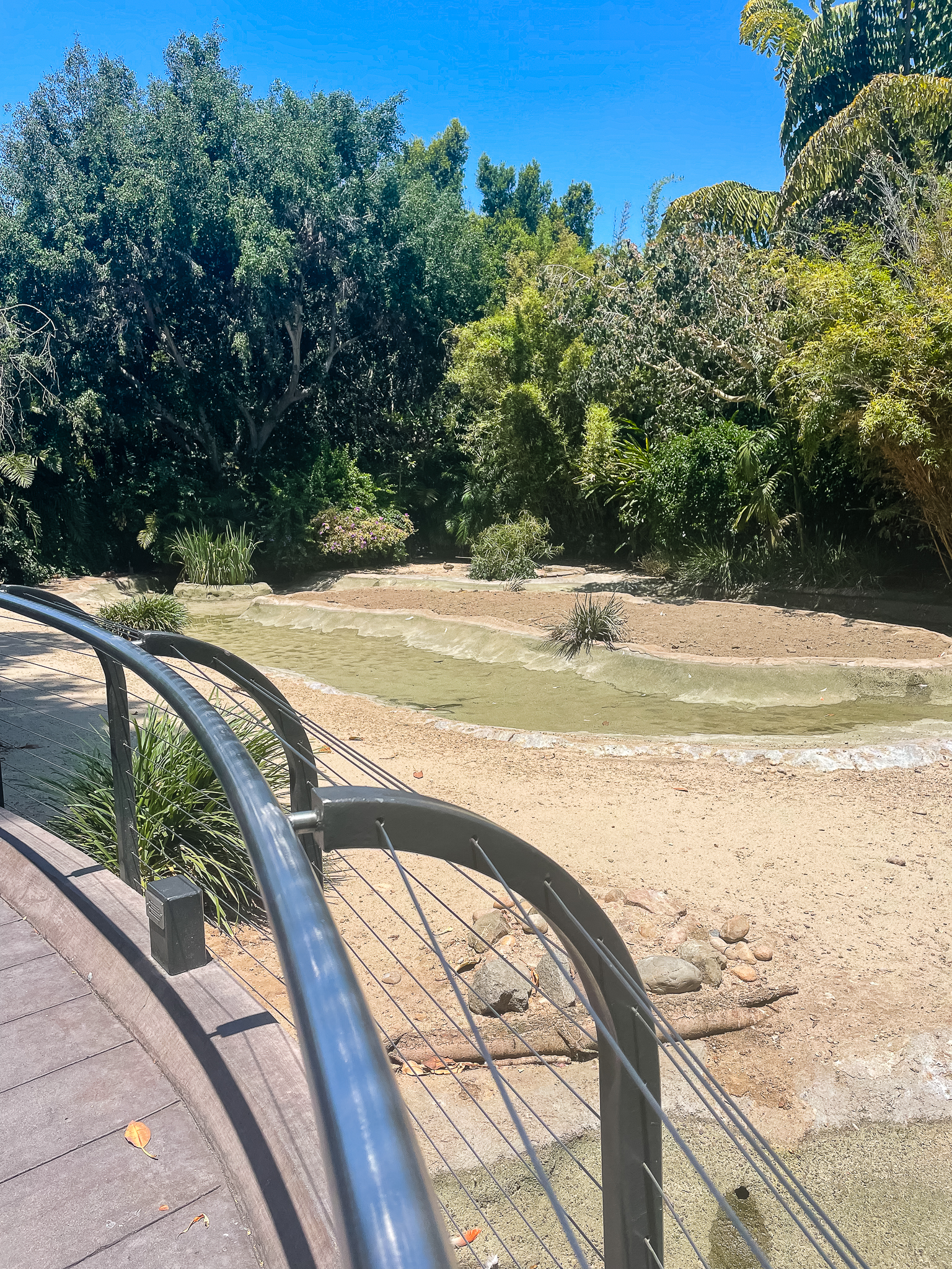 Empty Flamingo Lagoon