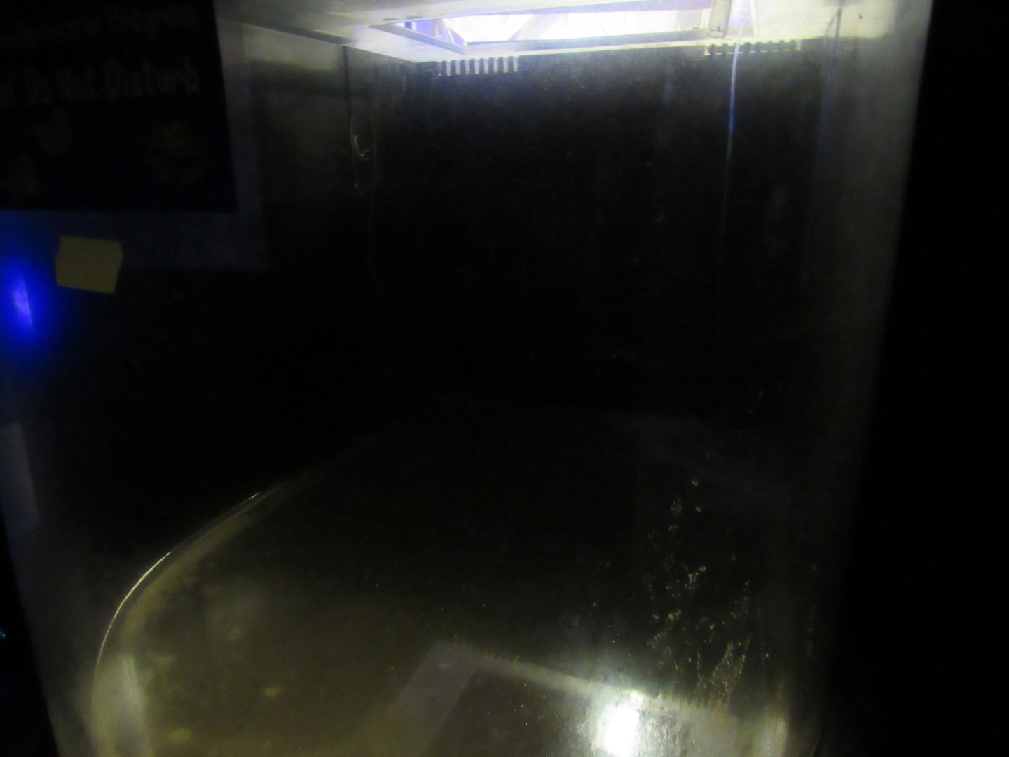 Empty Flashlight Fish Exhibit