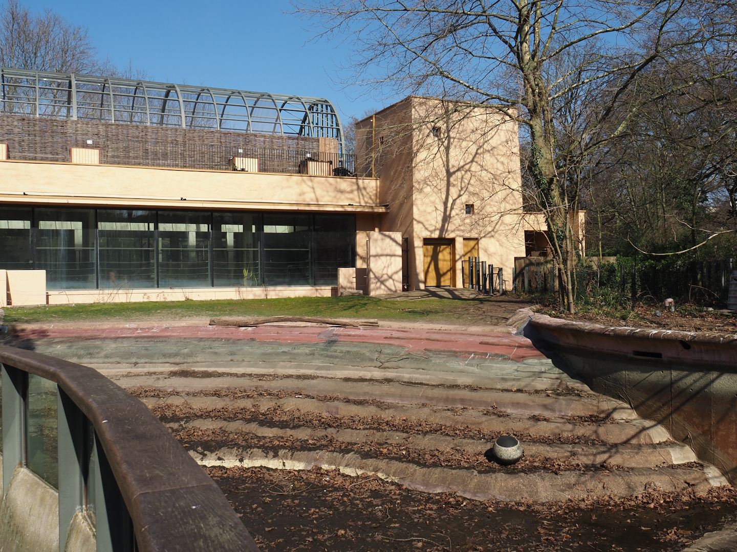 Empty former hippopotamus pool, 2025-03-16