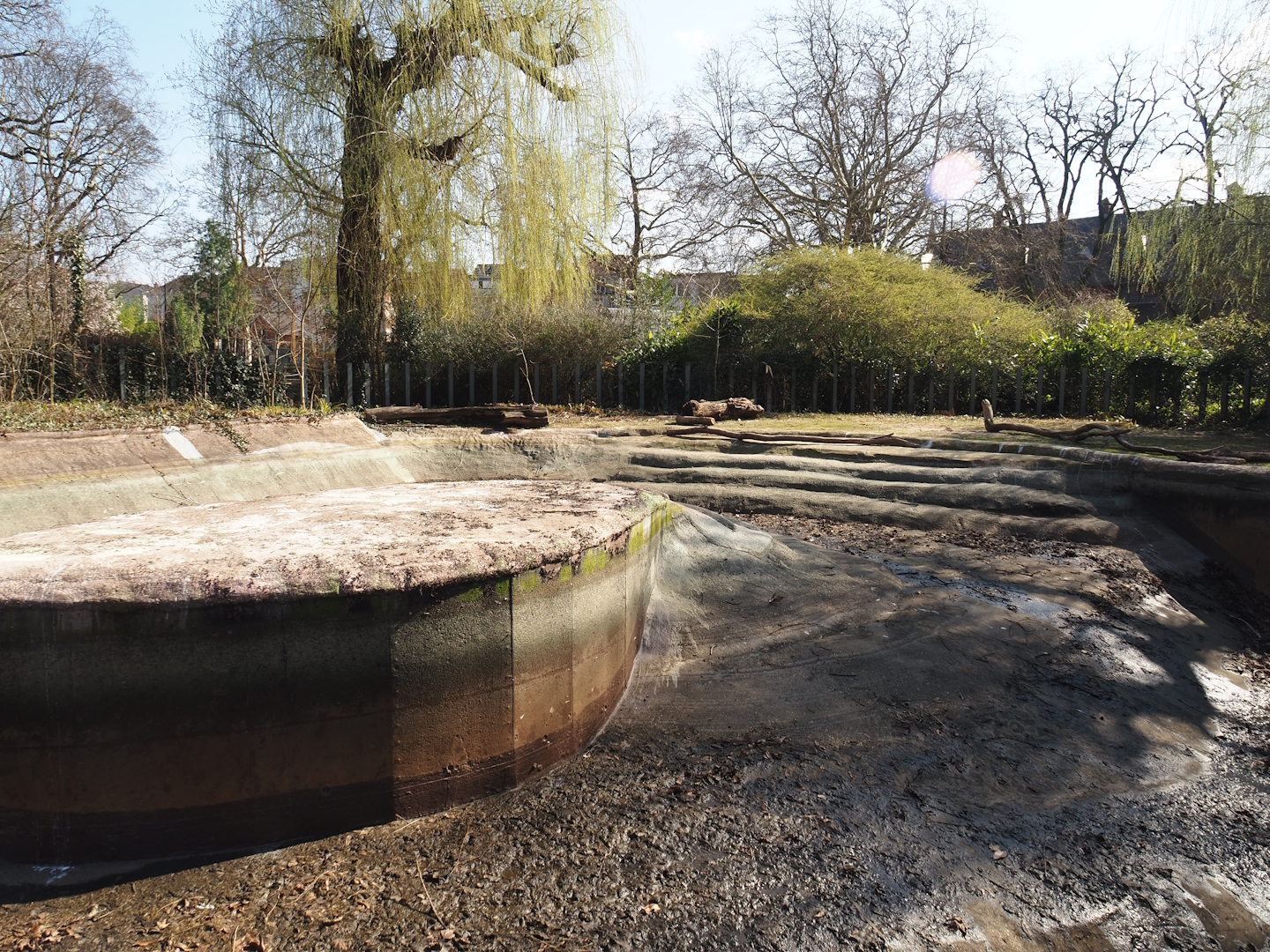 Empty former hippopotamus pool, 2025-03-16