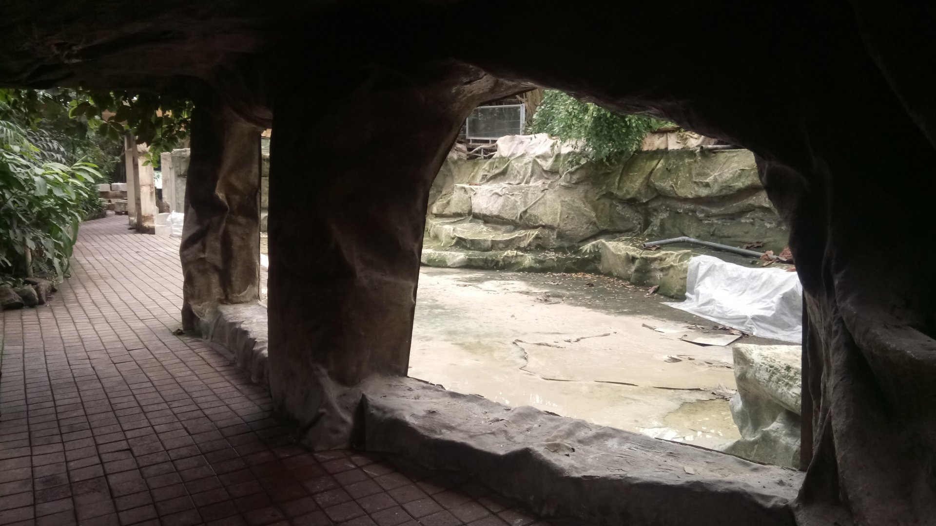 Empty former manatee pool - 2020/12/26