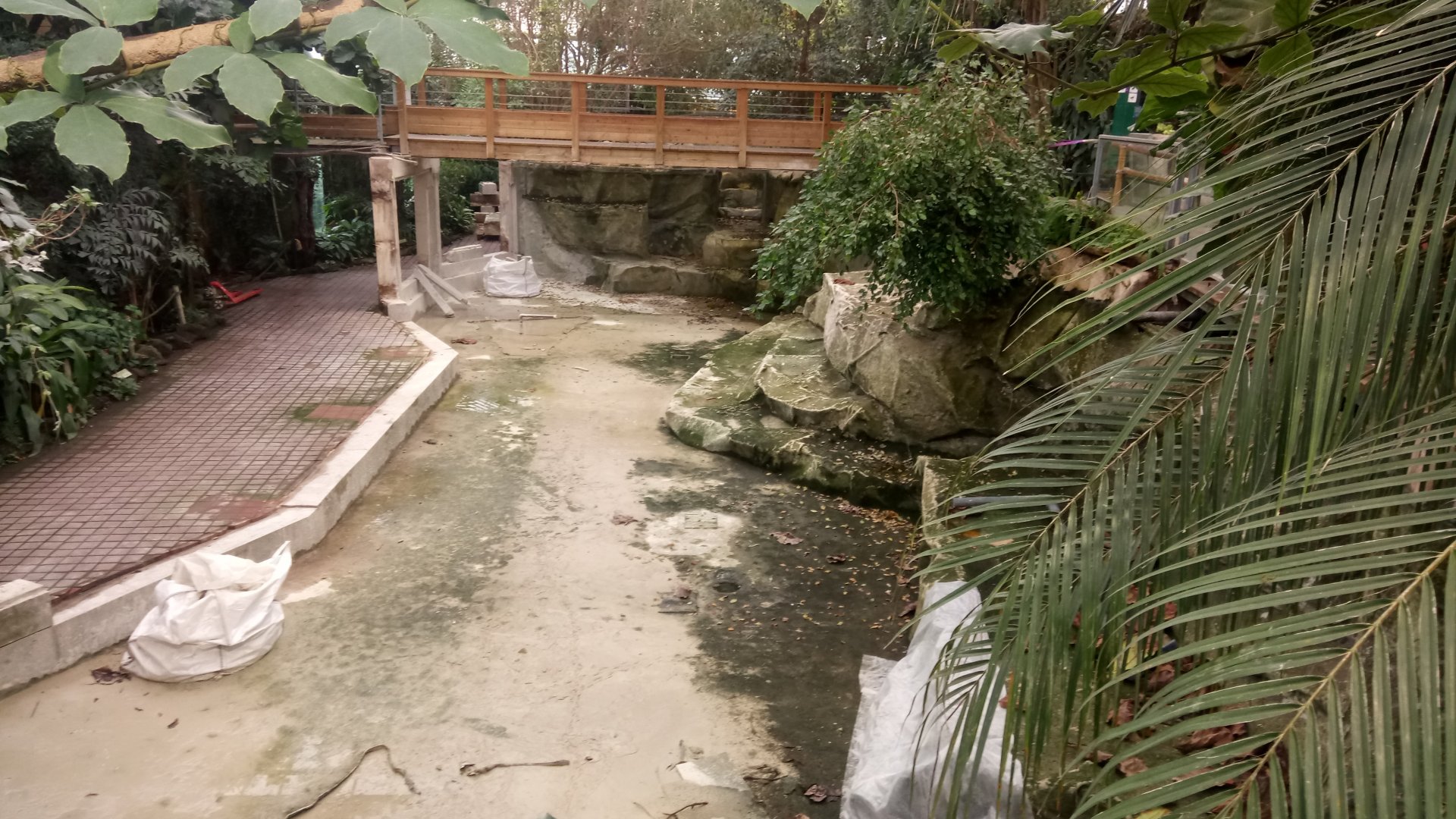 Empty former manatee pool - 2020/12/26