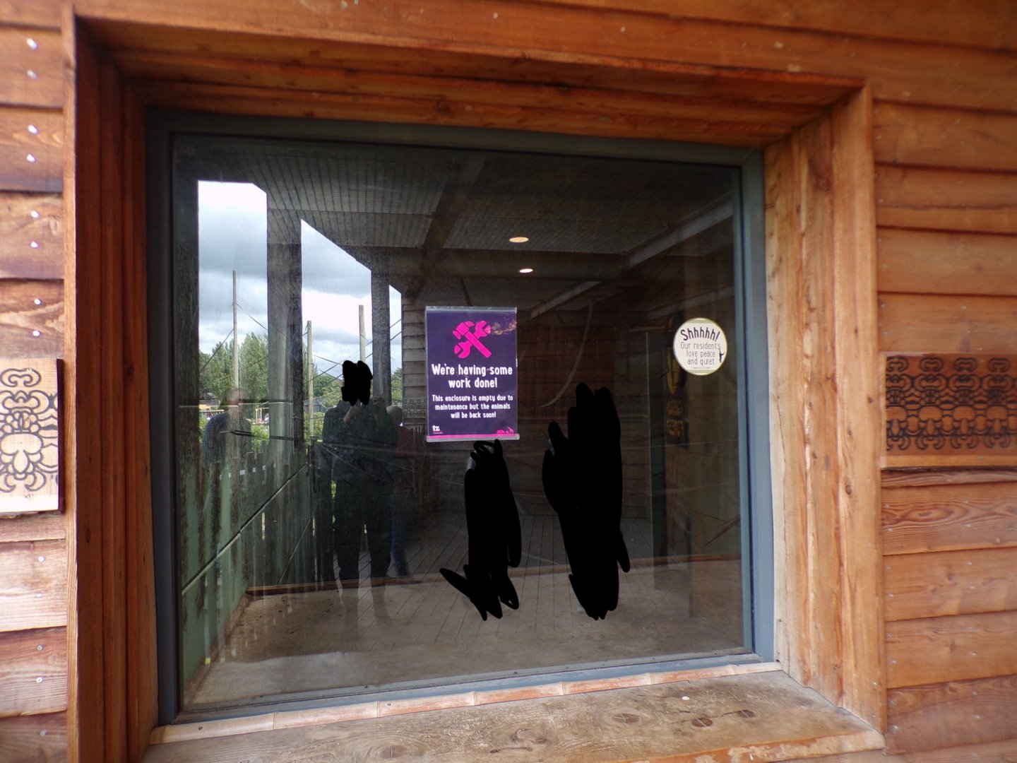 Empty gibbon enclosure (and my reflection) 7.7.24