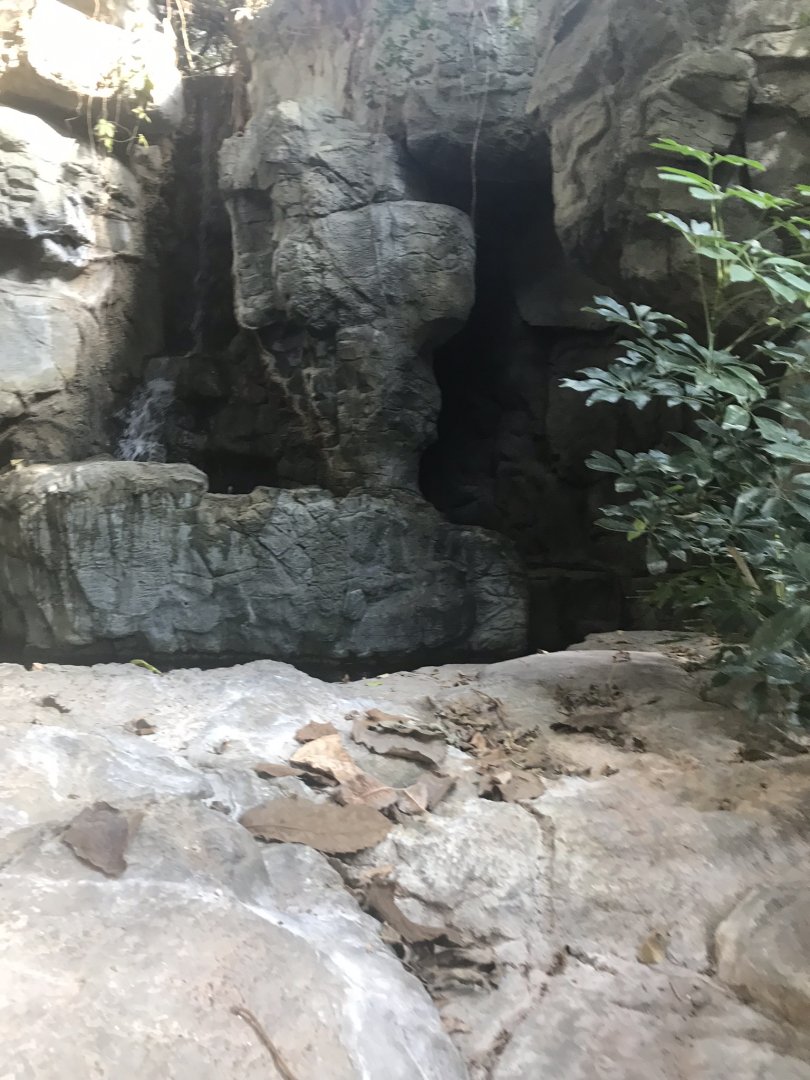 Empty grotto