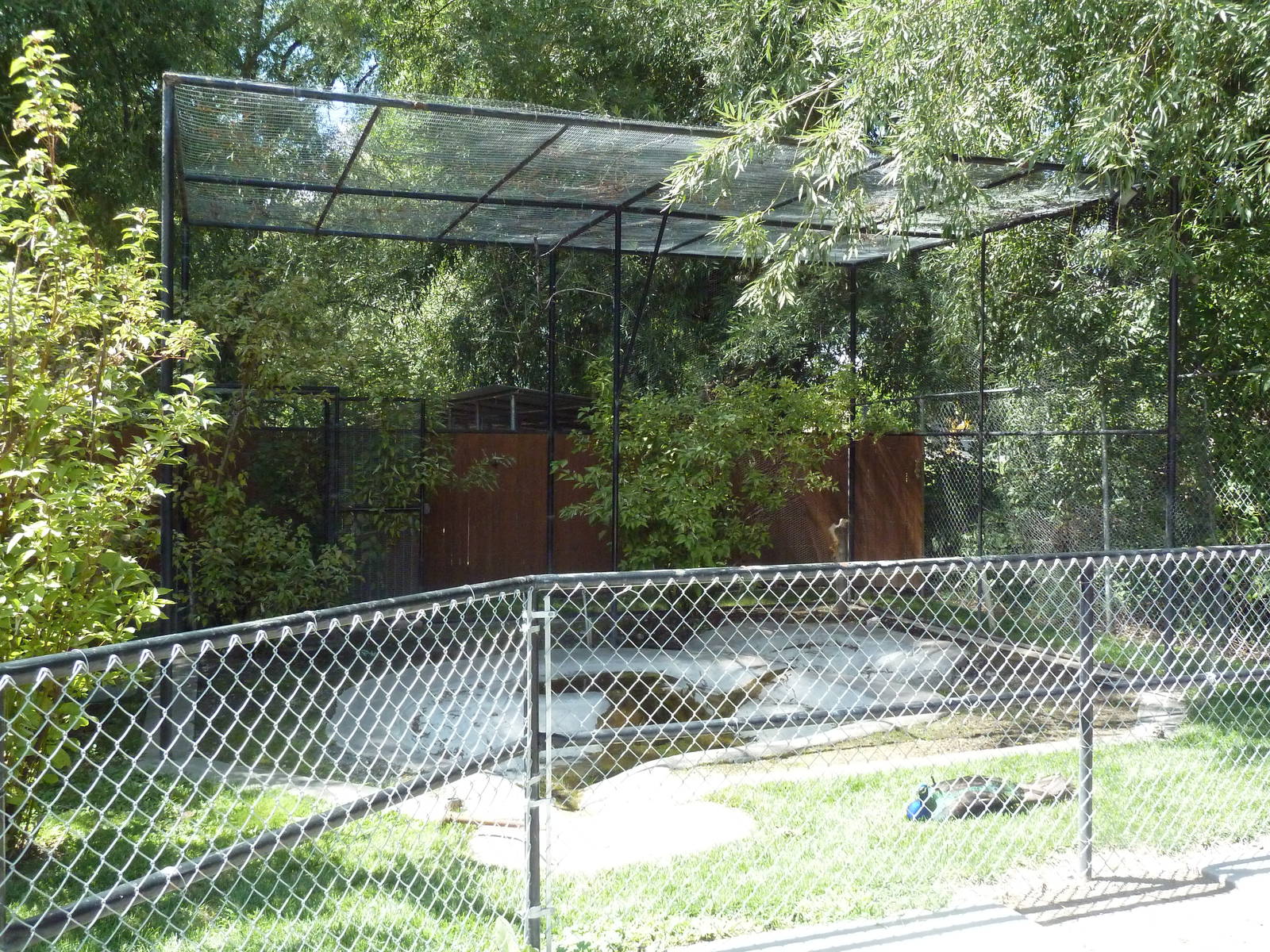 Empty/Half-Finished Exhibit