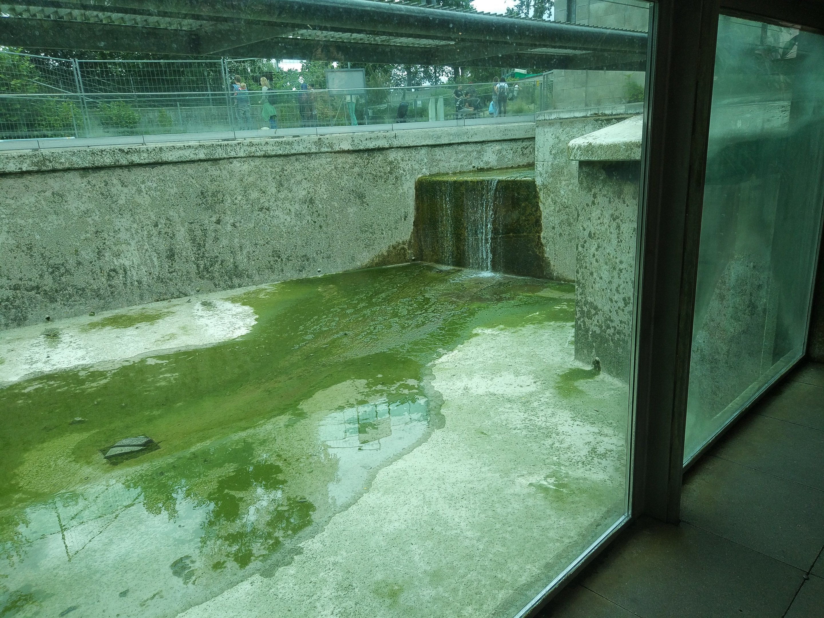 Empty Harbour Seal pool