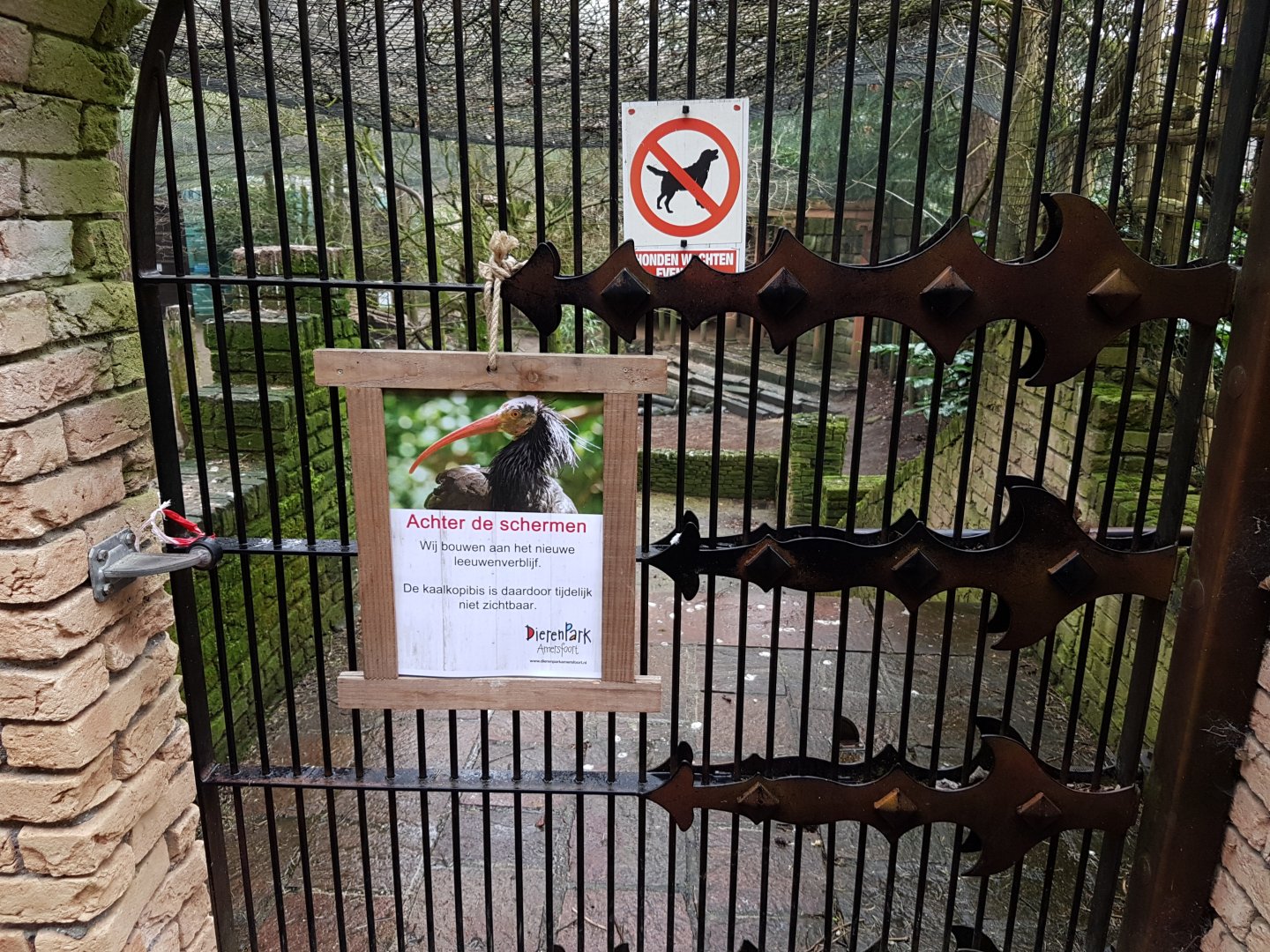Empty Ibis-enclosure