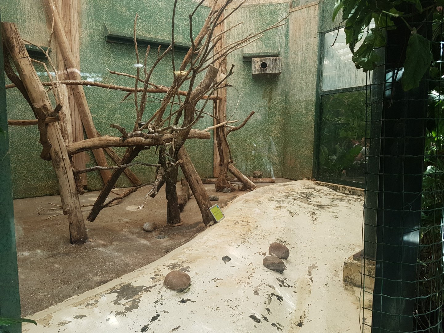 Empty indoor enclosure ( ibisses )