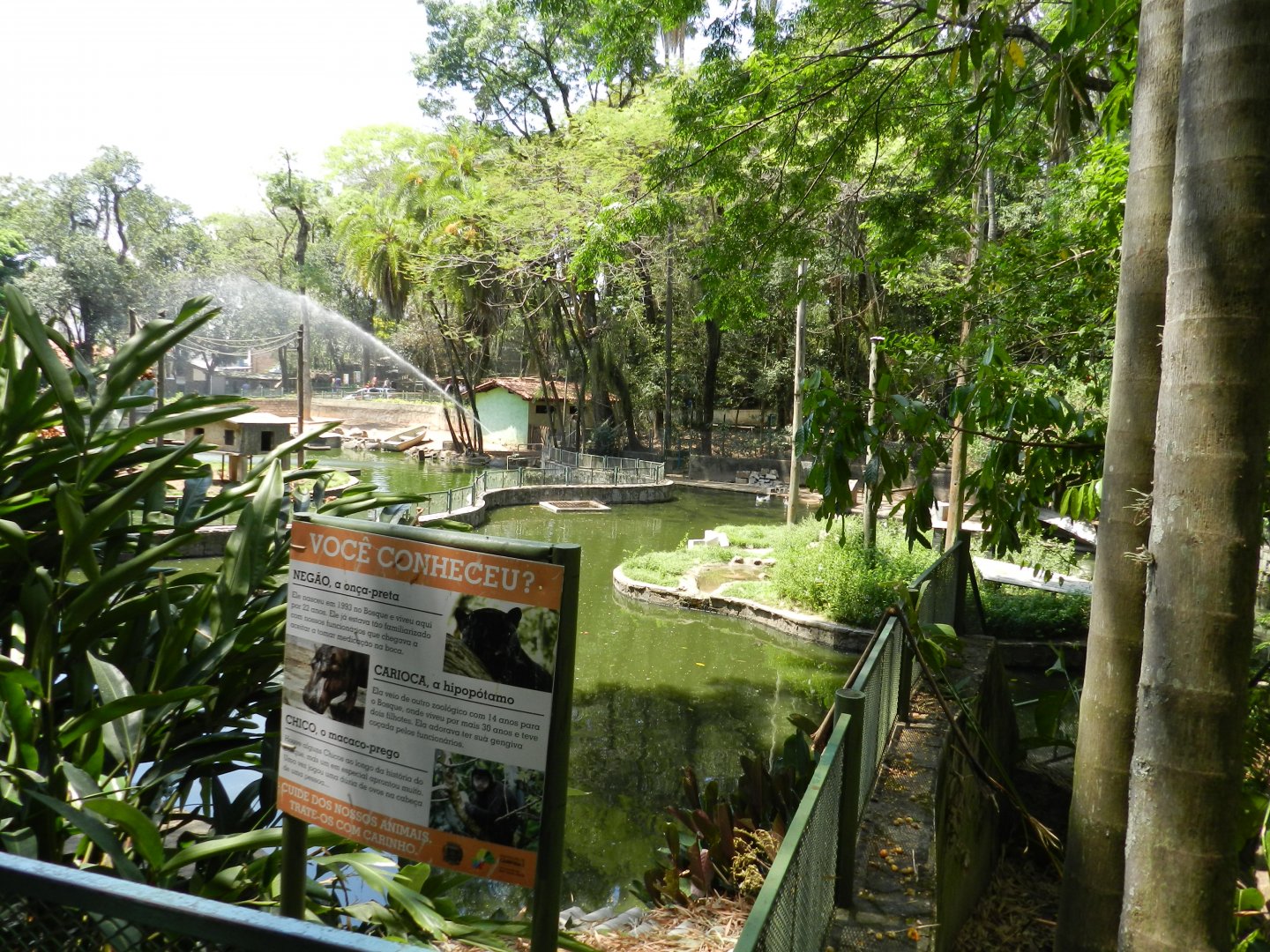 Empty island and signs - Campinas zoo (BDJ)