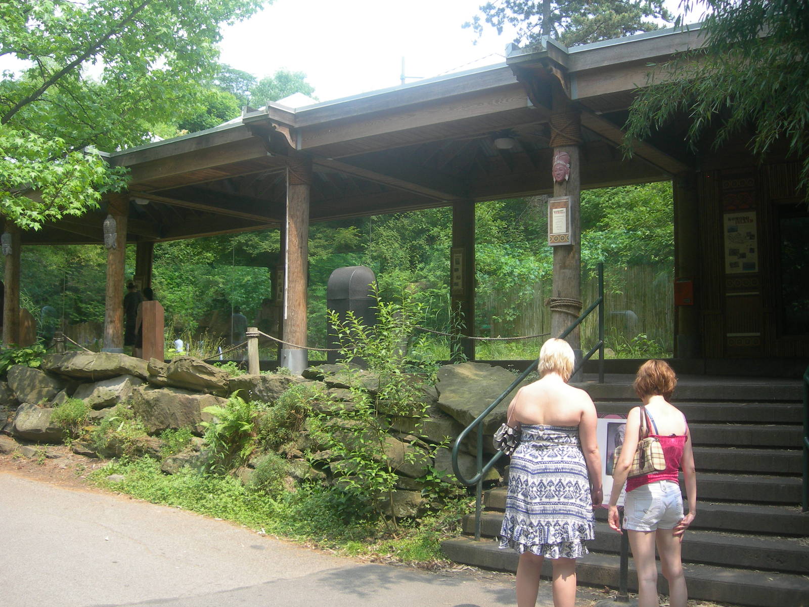 empty Komodo Dragon exhibit