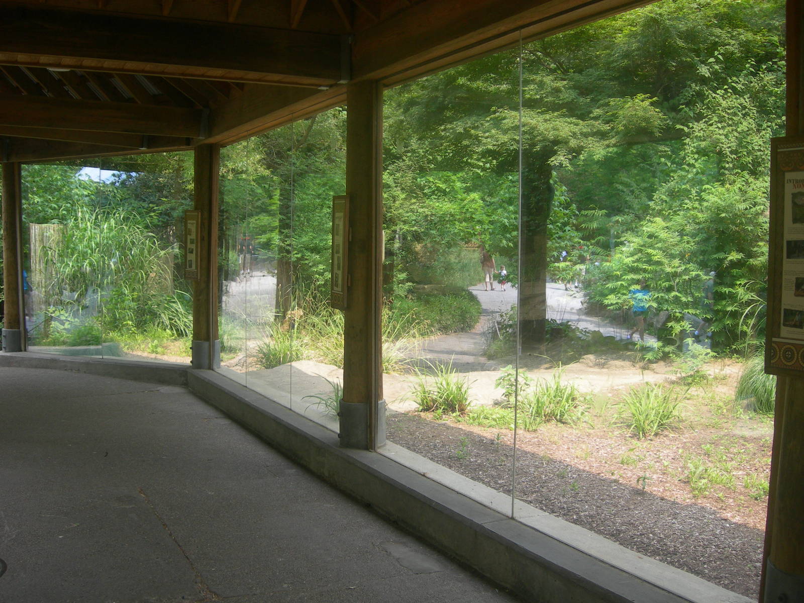 empty Komodo Dragon exhibit