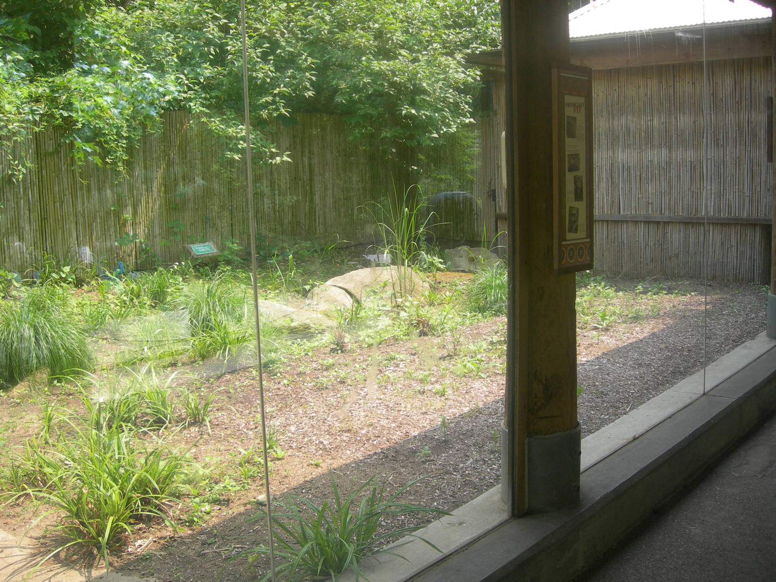 empty Komodo Dragon exhibit