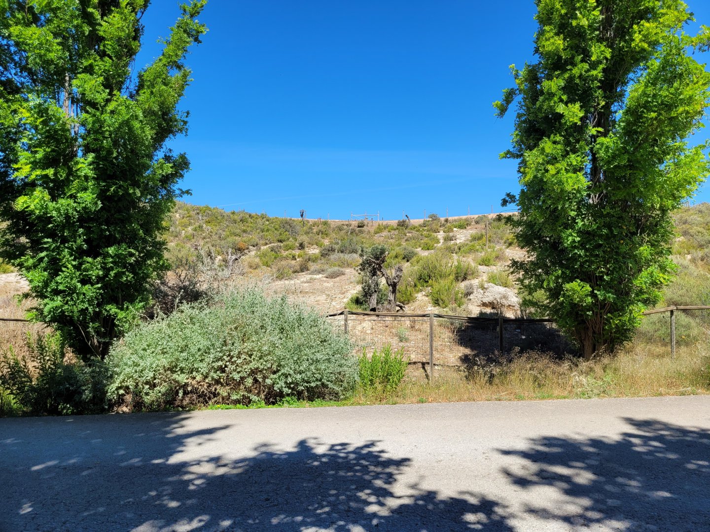 Empty livestock exhibit -Sendaviva (2024)