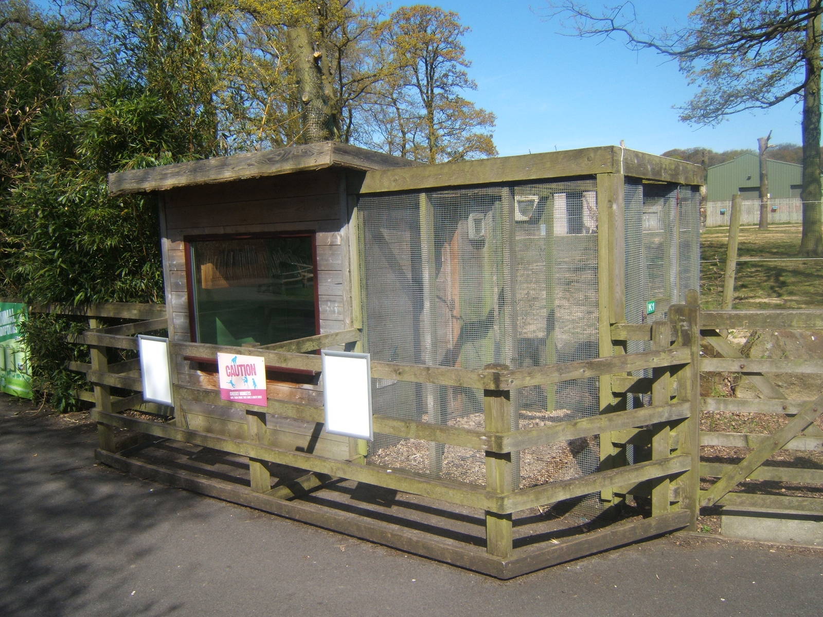 Empty Marmoset enclosure