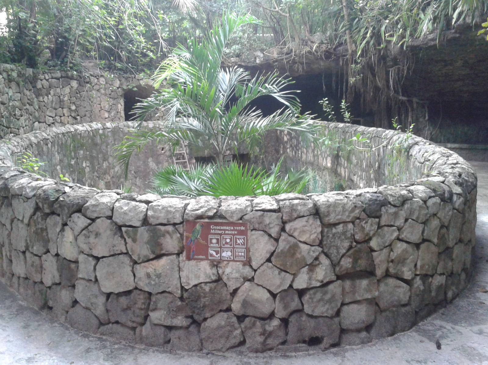 Empty Military macaw enclosure