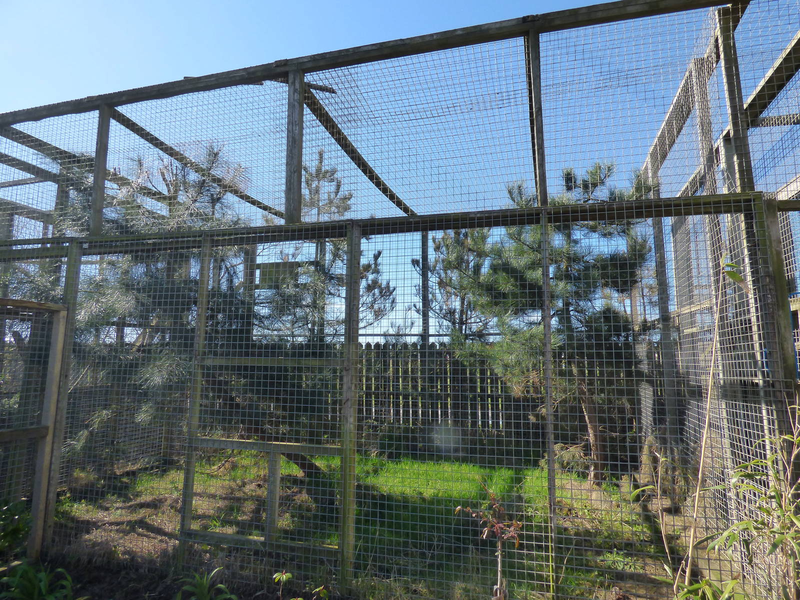 Empty Ocelot Enclosure