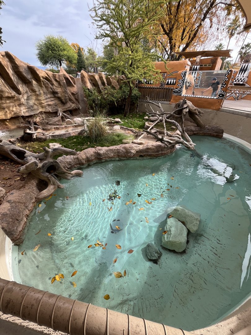 empty otter enclosure