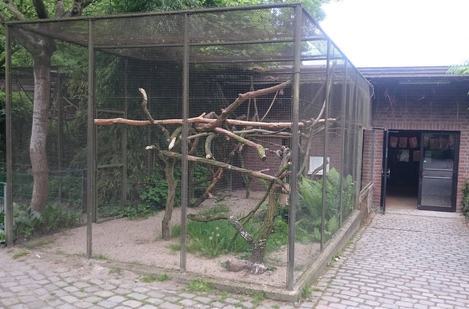 Empty outdoor enclosure