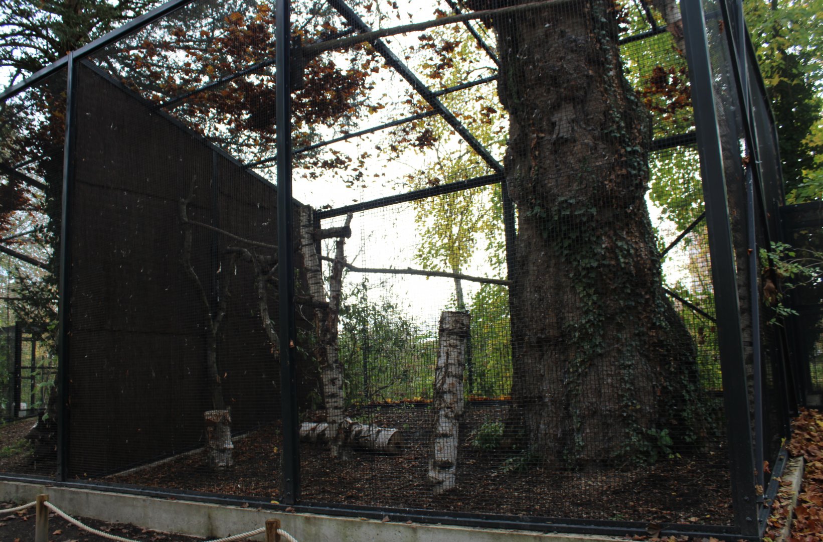 Empty ( owl ? ) aviary