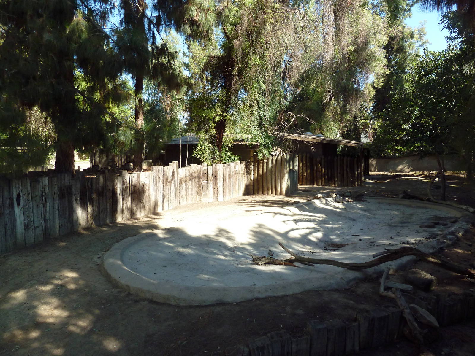 Empty Paddock (Old Alpaca Exhibit)