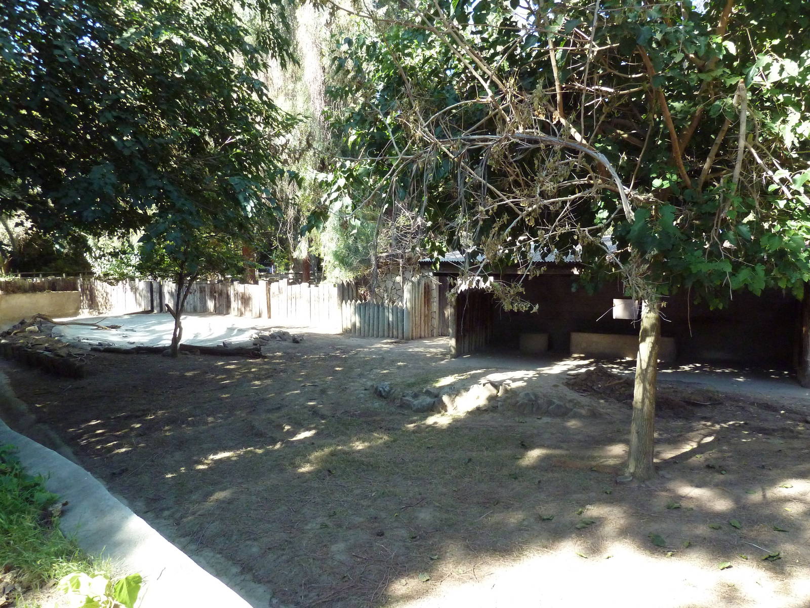 Empty Paddock (Old Alpaca Exhibit)