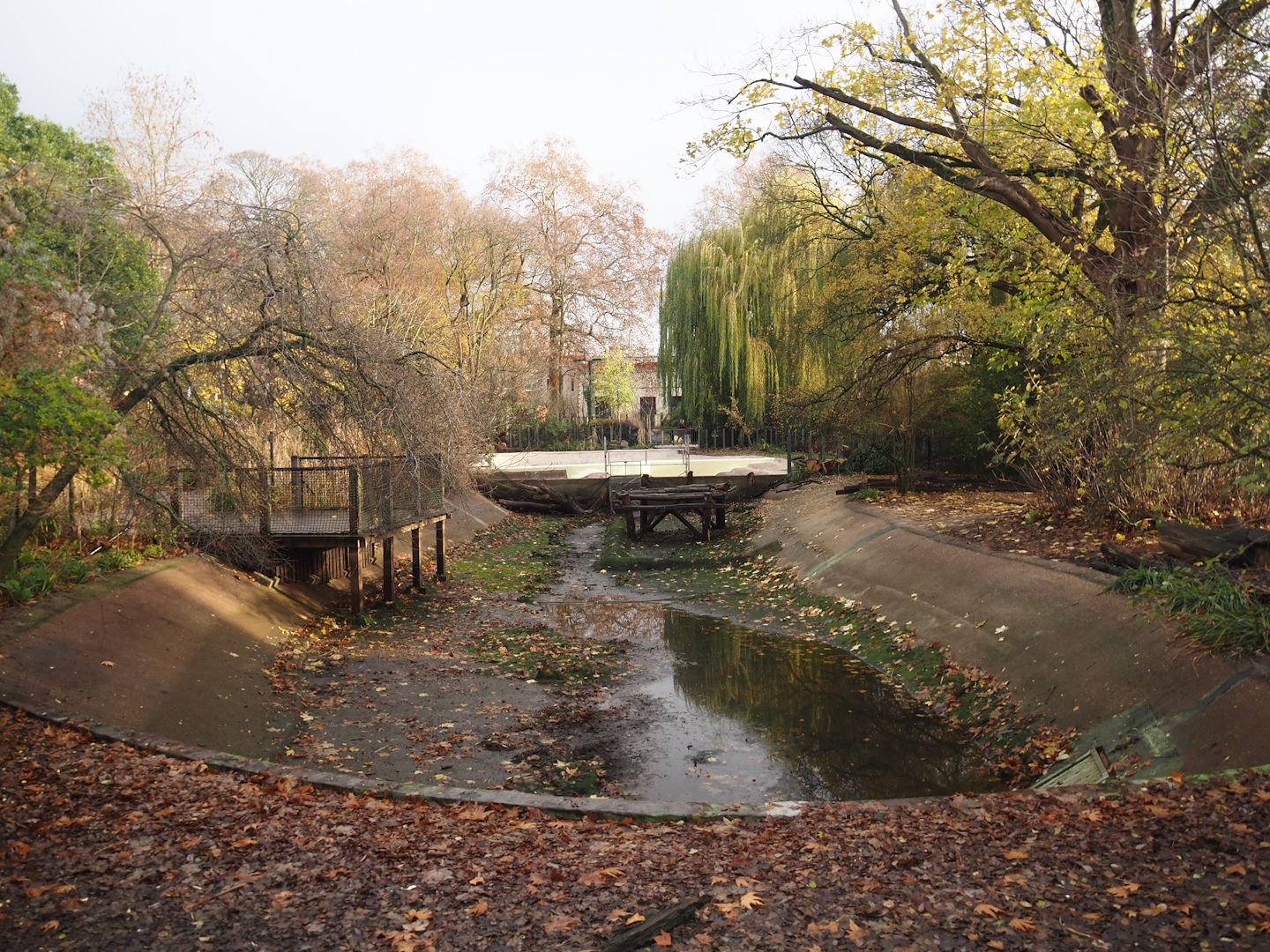 Empty pelican pond and construction work on the pygmy hippopotamus pool and expansion of the land area, 2025-11-30