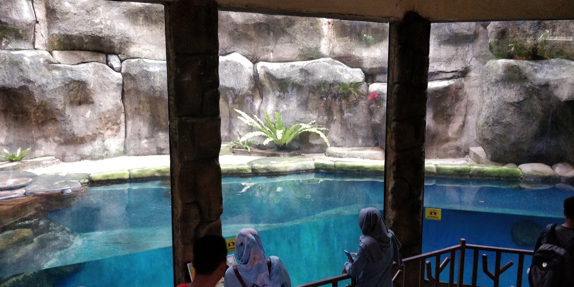 Empty penguin enclosure