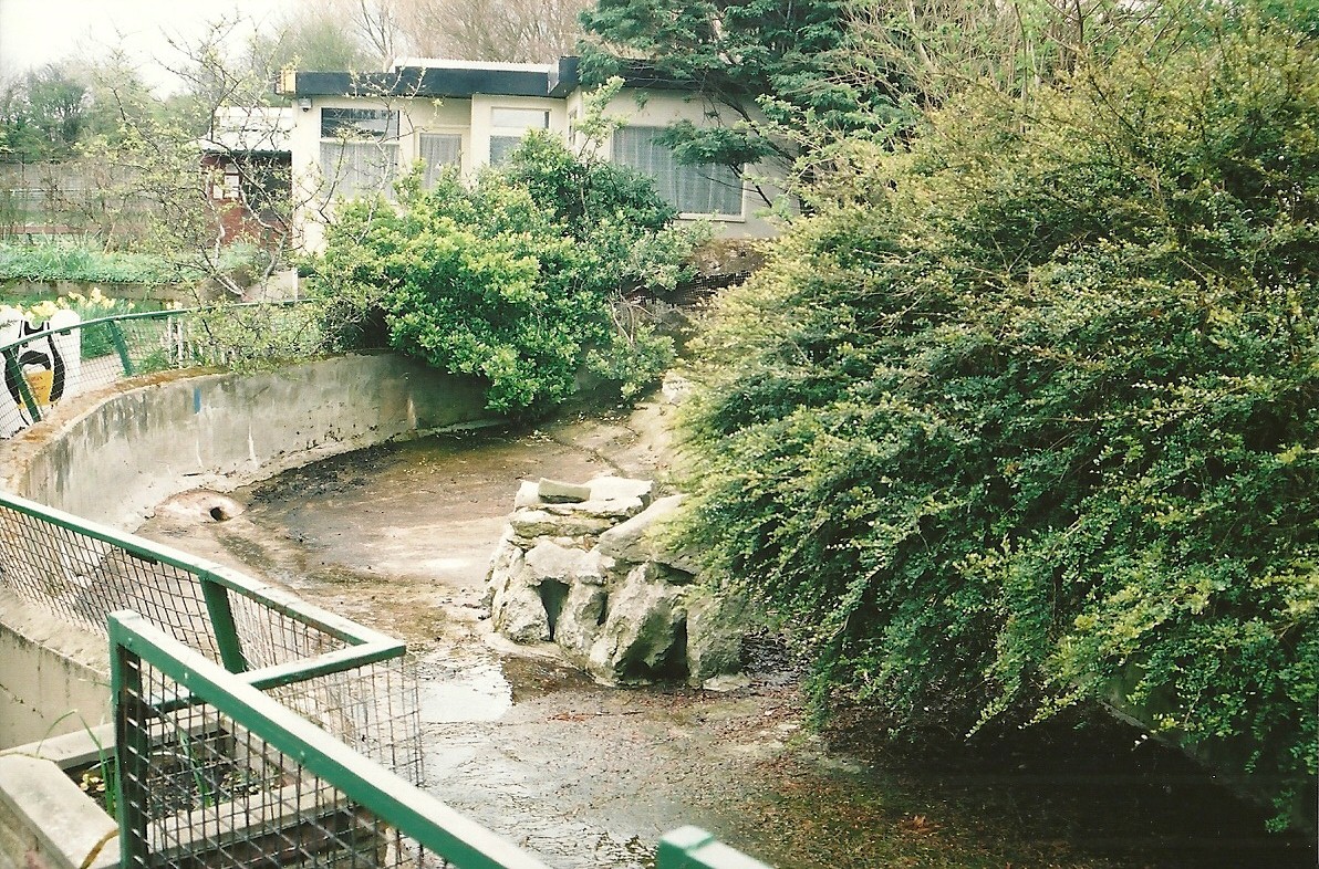Empty Penguin exhibit 16th April 2004