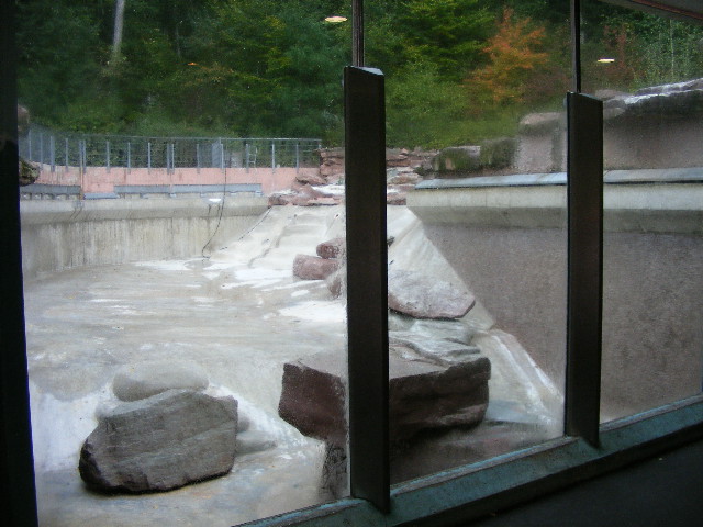 empty penguin pool october 2009