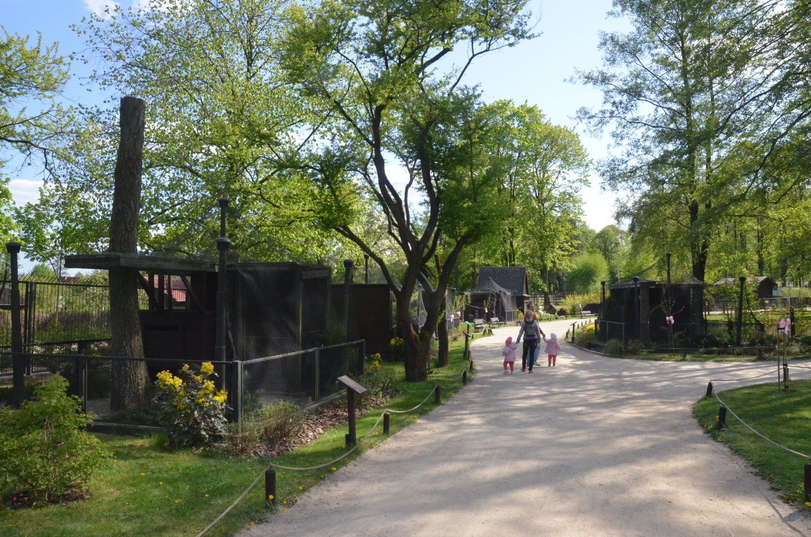 Empty (Pheasant?) Aviaries at Akcent Zoo Białystok, 08/05/19