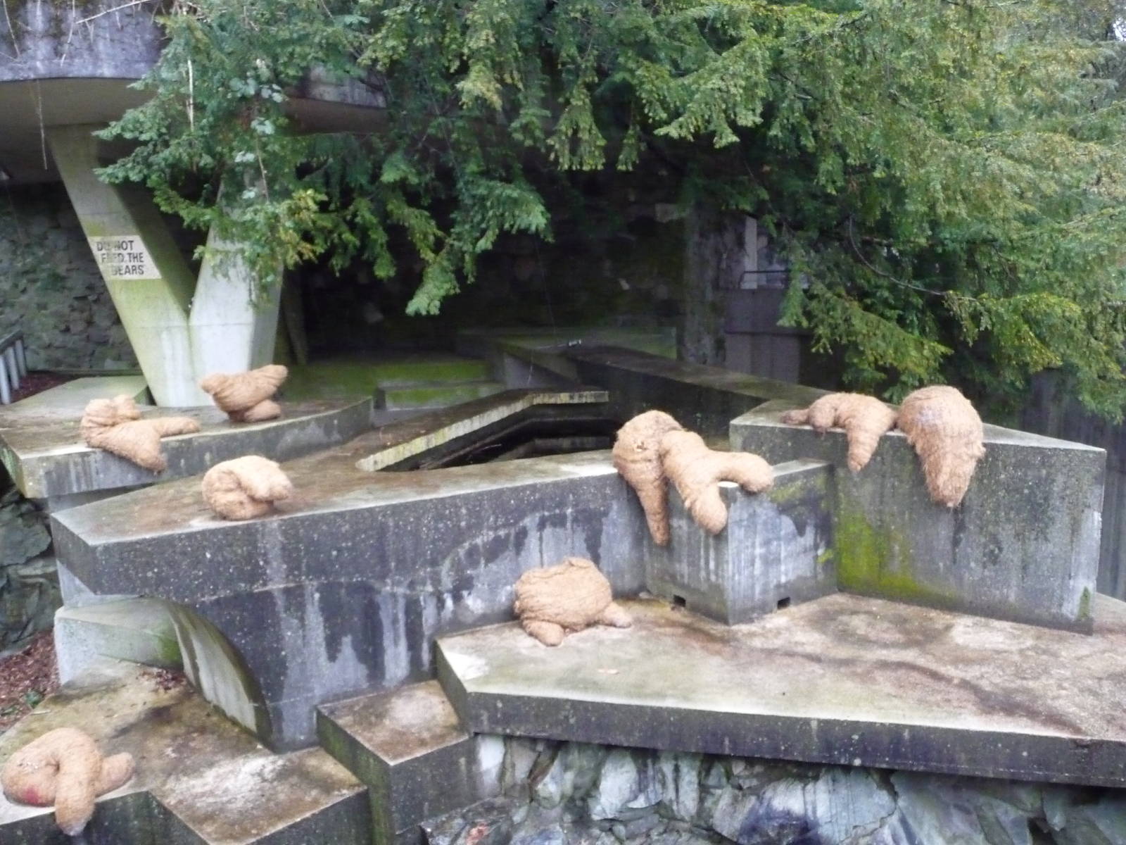Empty Polar Bear Exhibit