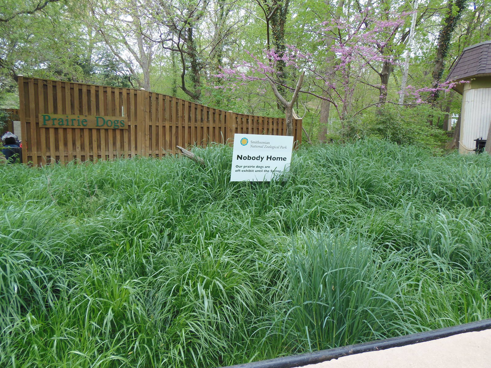 Empty Prairie Dog Exhibit