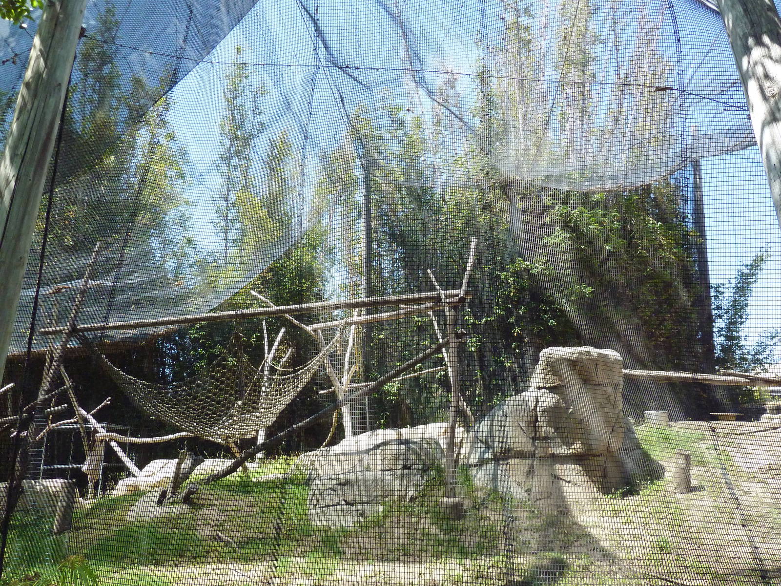 Empty Primate Enclosure (Off-Exhibit)