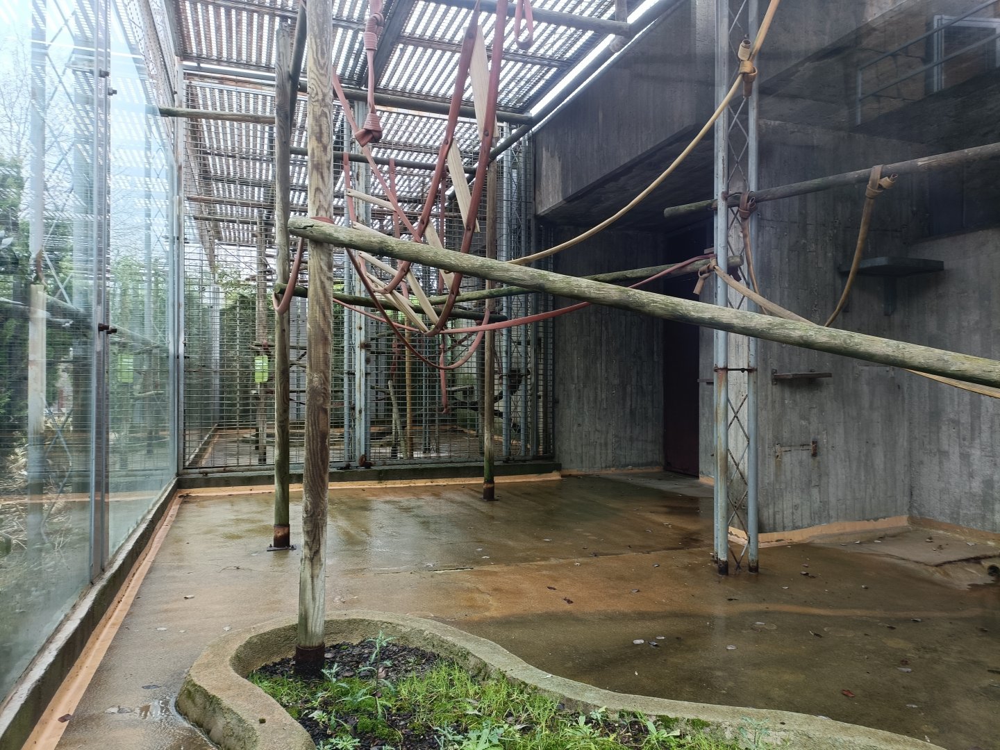 Empty primate exhibit