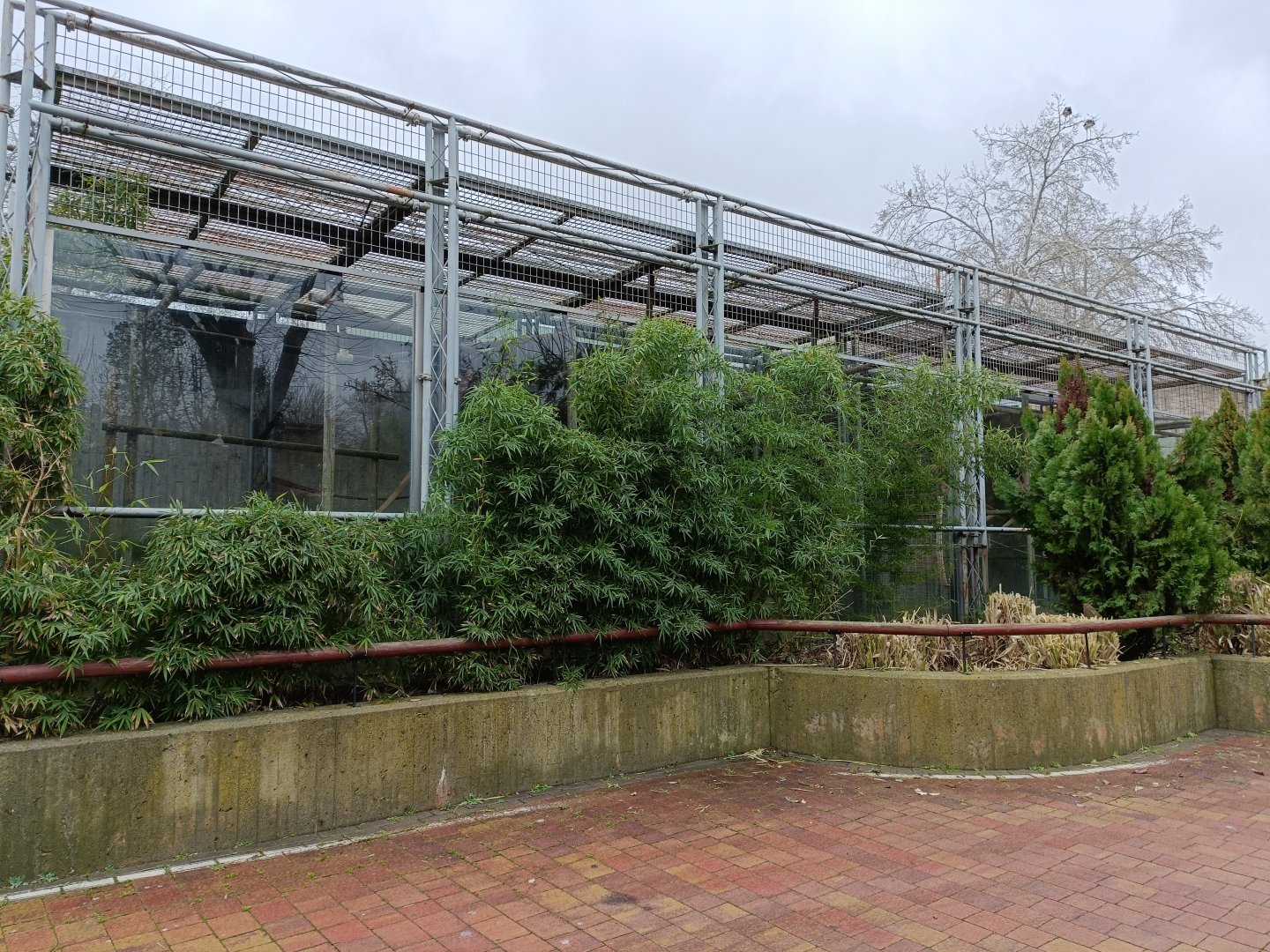 Empty primate exhibit