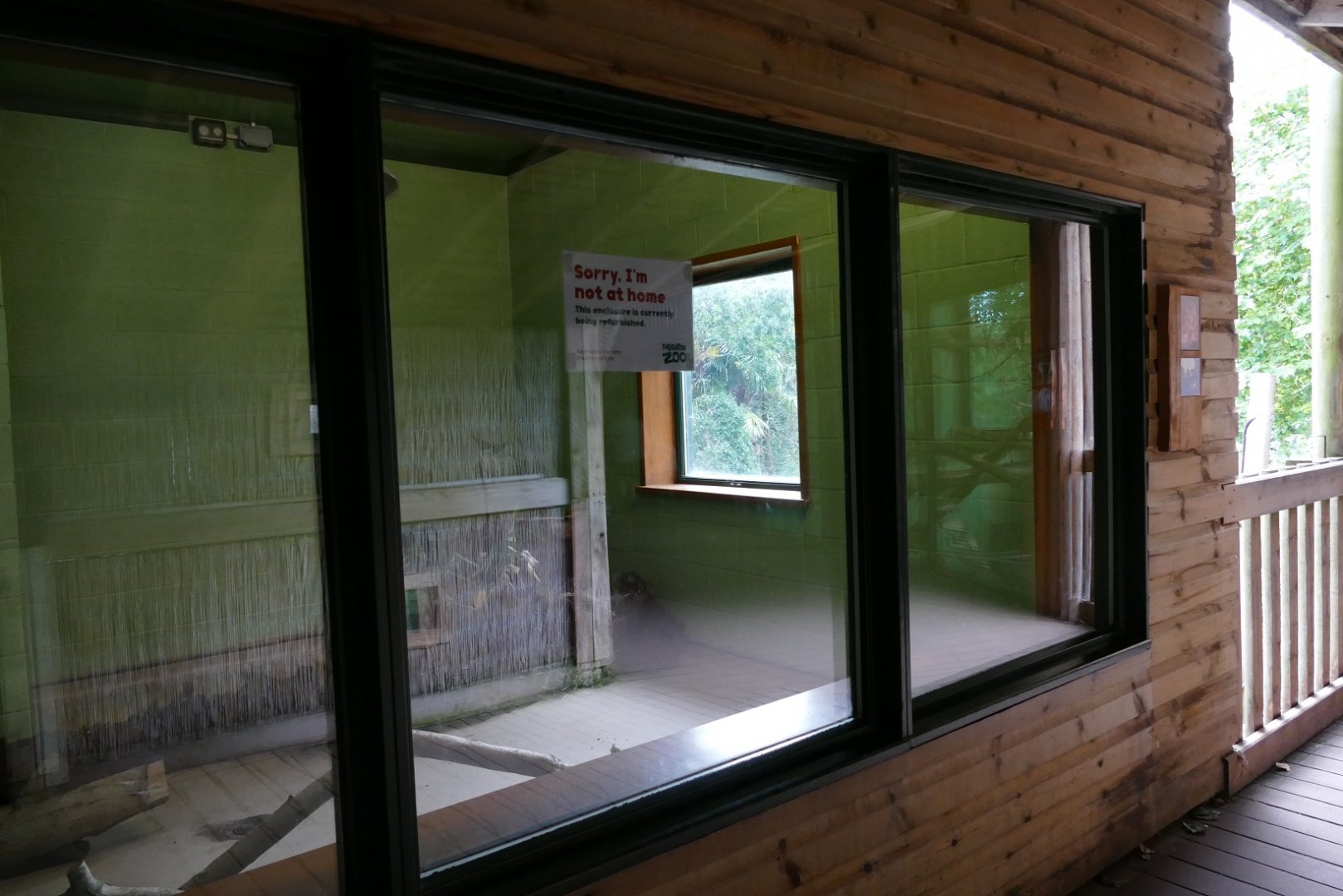 Empty pygmy slow loris exhibit, August 2018