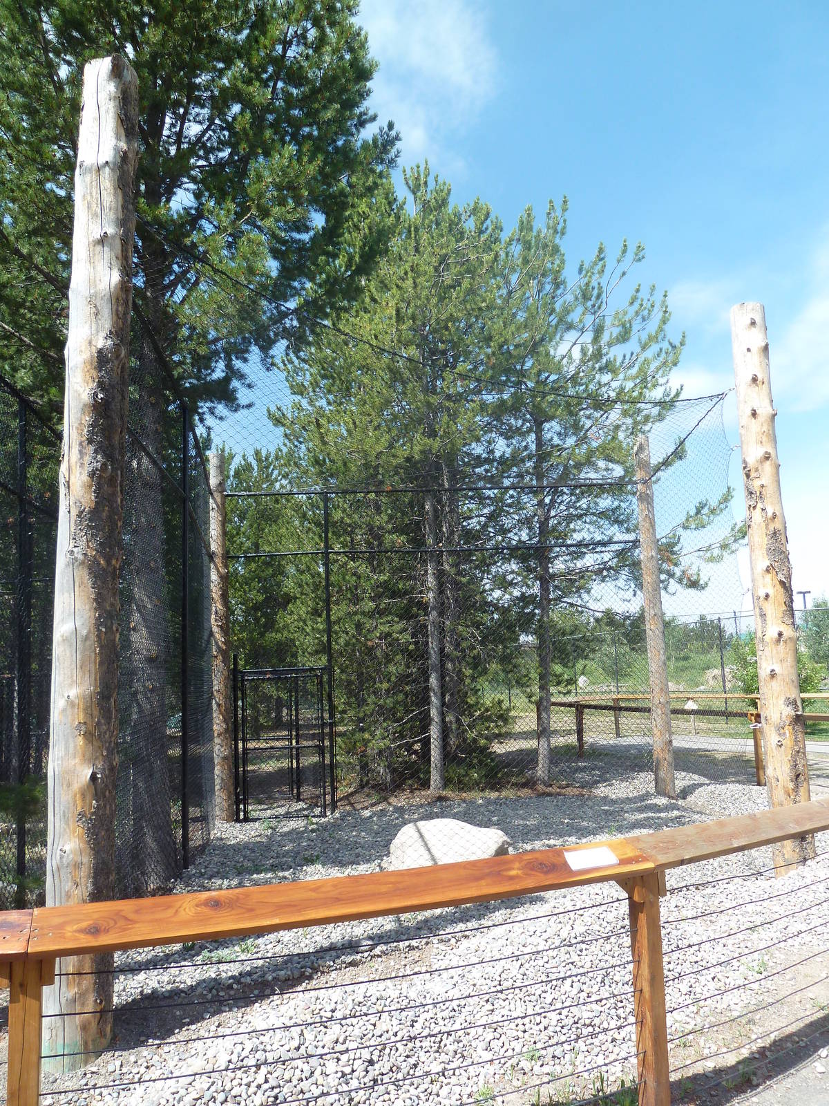 Empty Raptor Exhibit