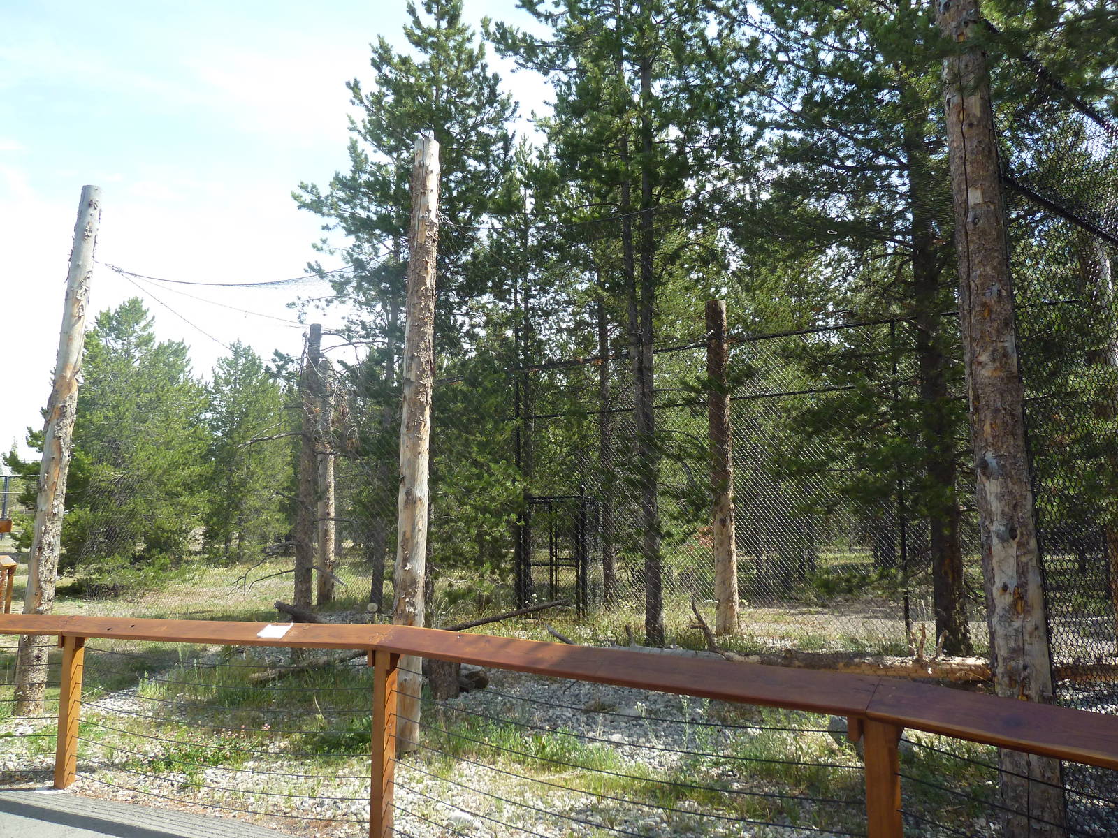 Empty Raptor Exhibit