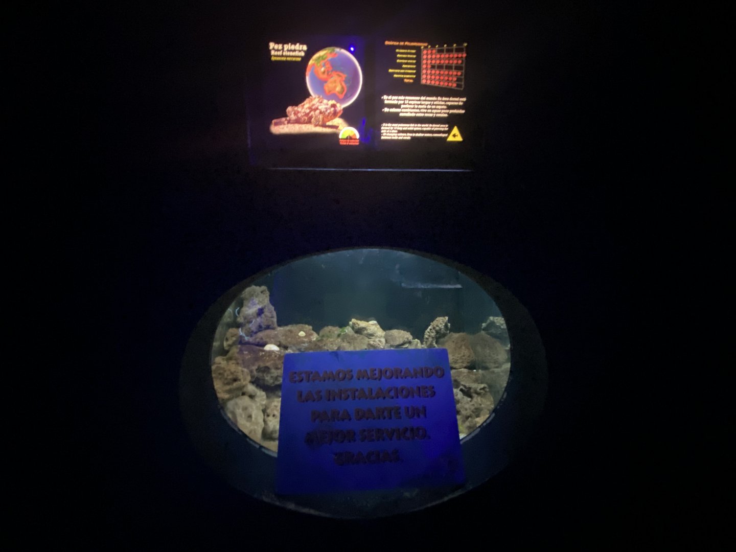 Empty reef stone Fish aquarium